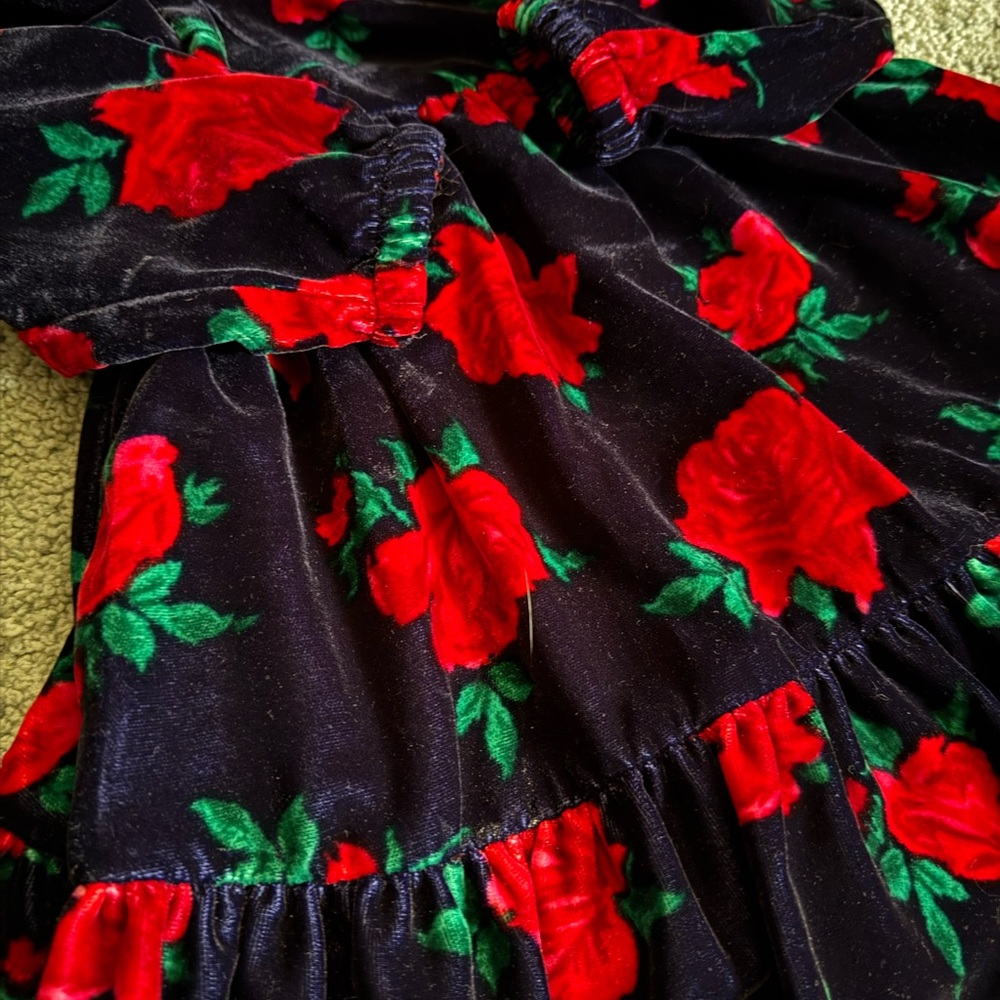 Janie and Jack Velvet Dress :: Red Roses ::